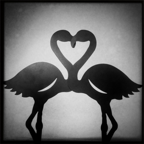 Day 81. Flamingo Love