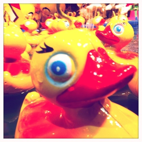 Day 181. Rubber Ducky, you’re the one…