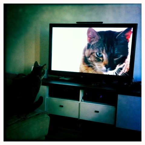 Day 188. Watching Telly