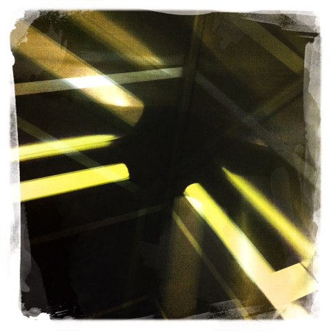 Day 207. Elevator Ride