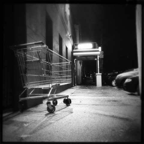 Day 774. Destitution