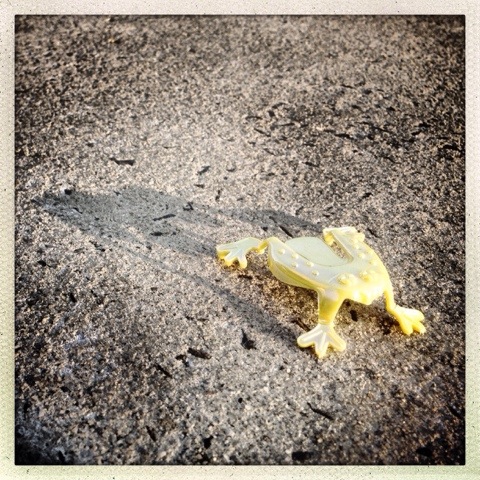 Day 1044. Frog on the run