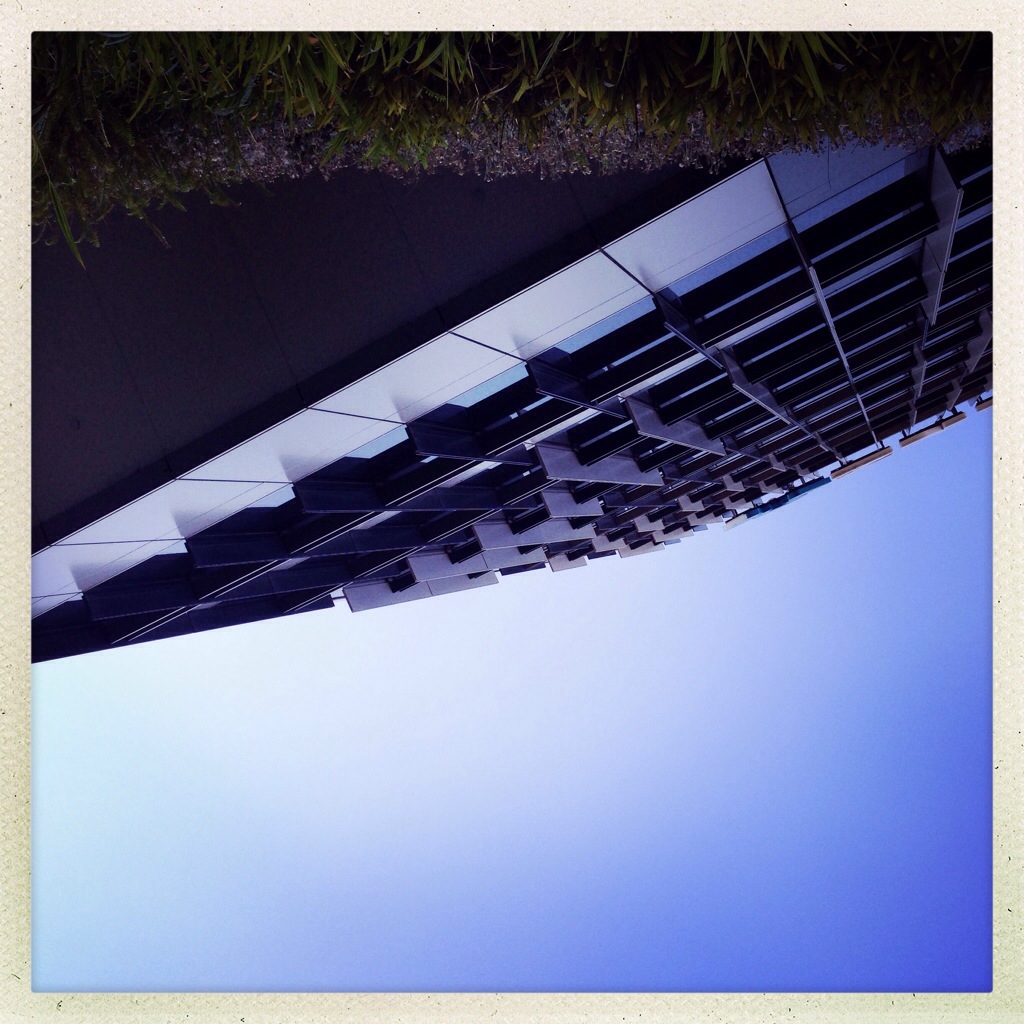 Day 1144. within this upside down world…