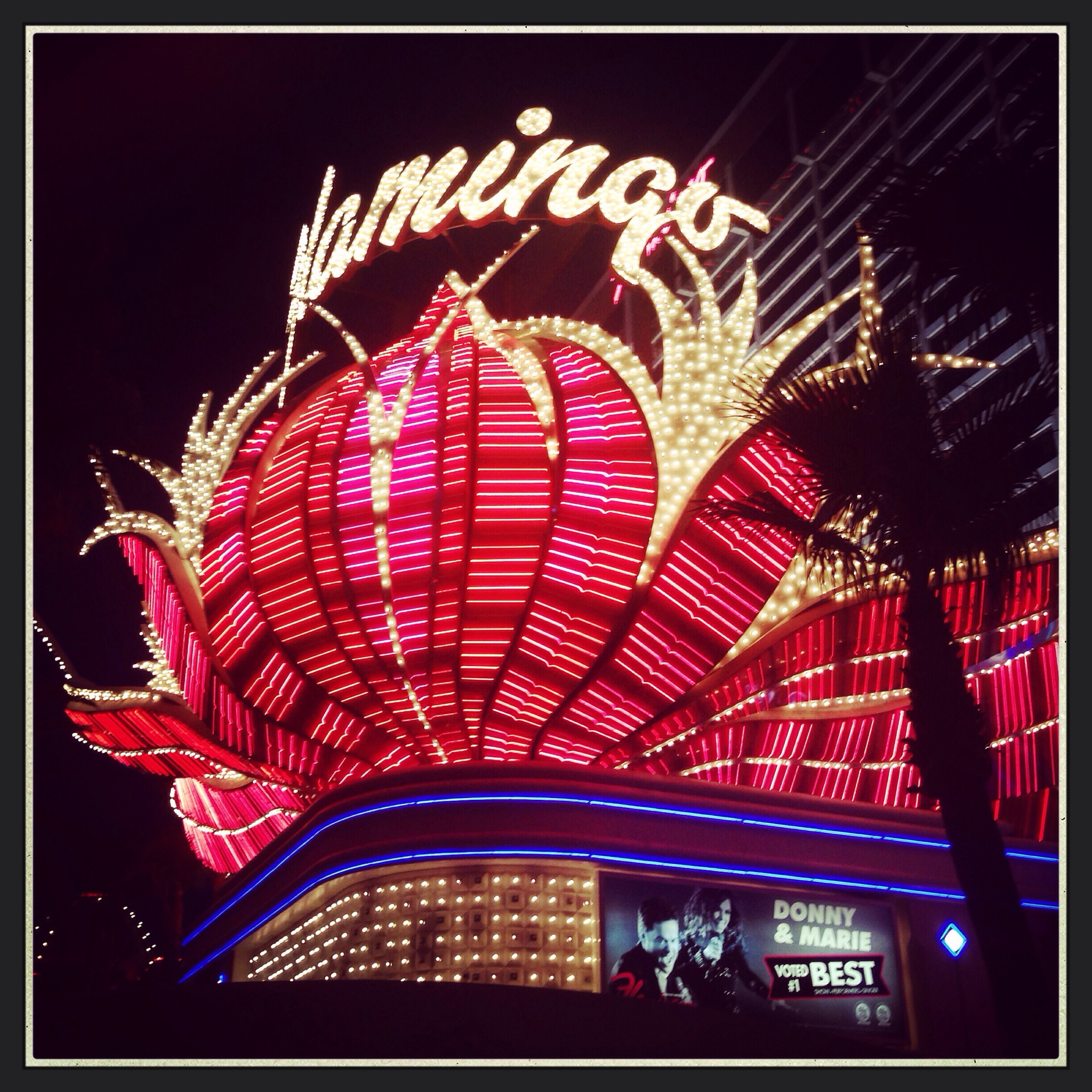 Day 1223. flamingo nights at the strip…