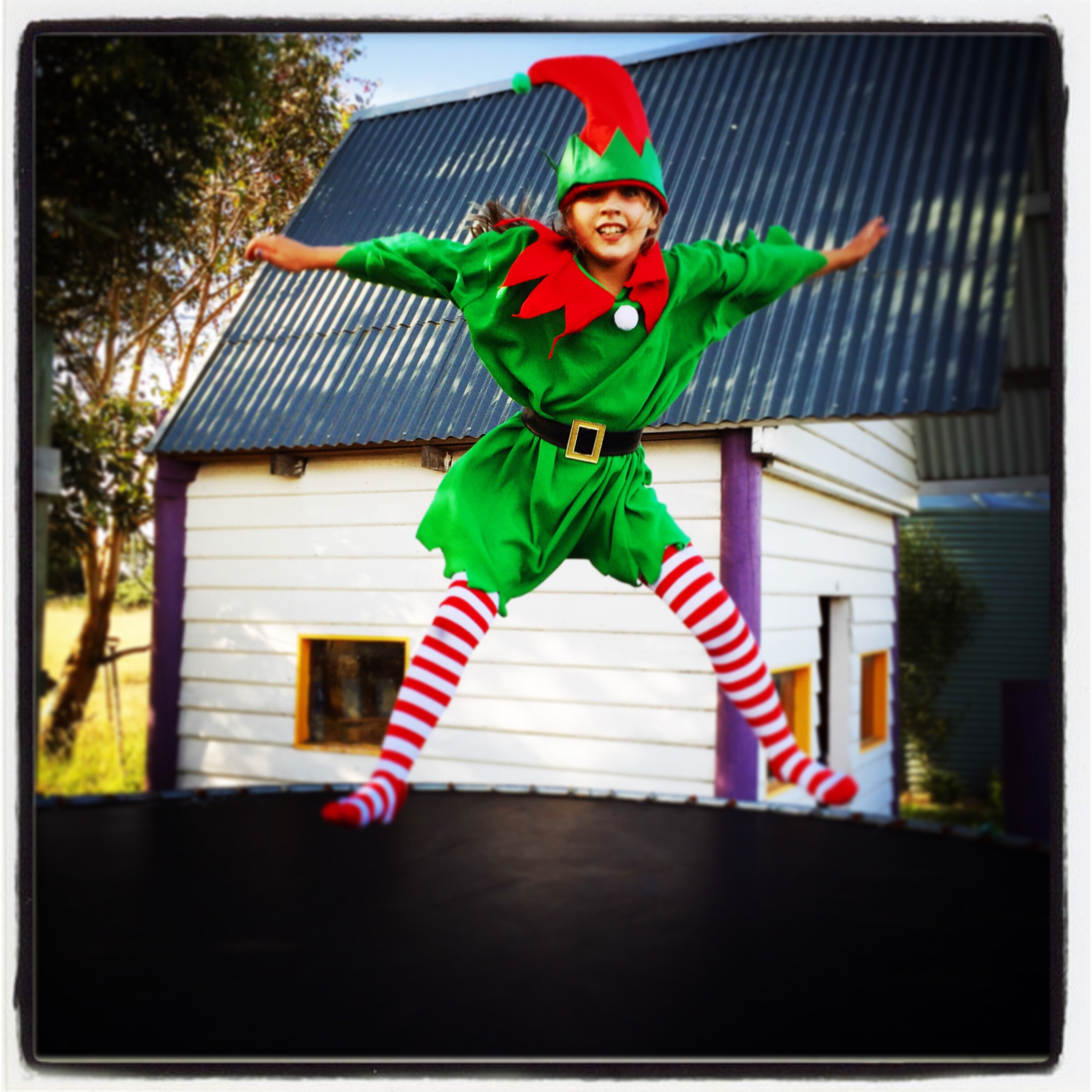 Day 1361. elf snap…