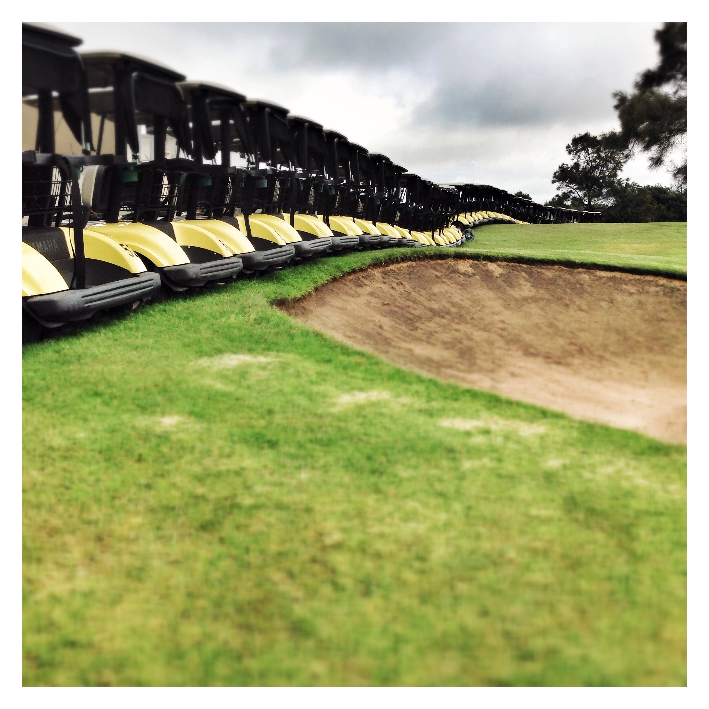 Day 1409. Cart Path