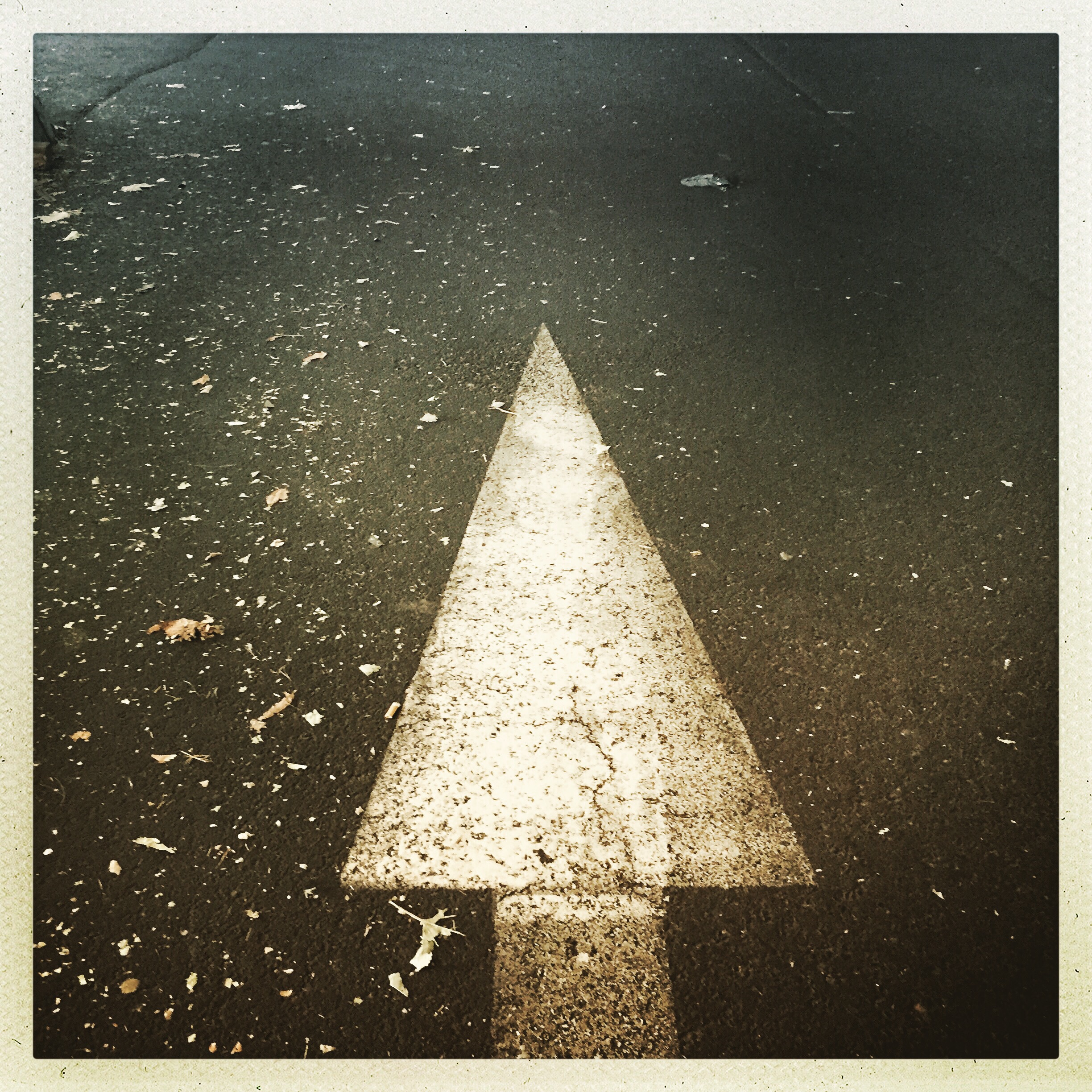 Day 1445. just another arrow… 