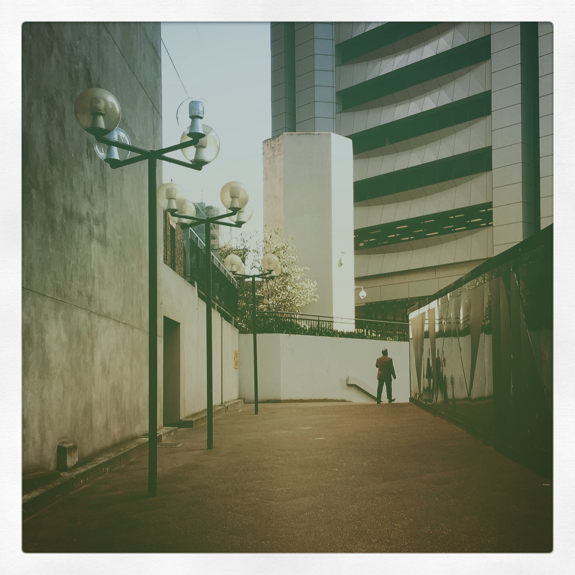 Day 1633. urban loner…