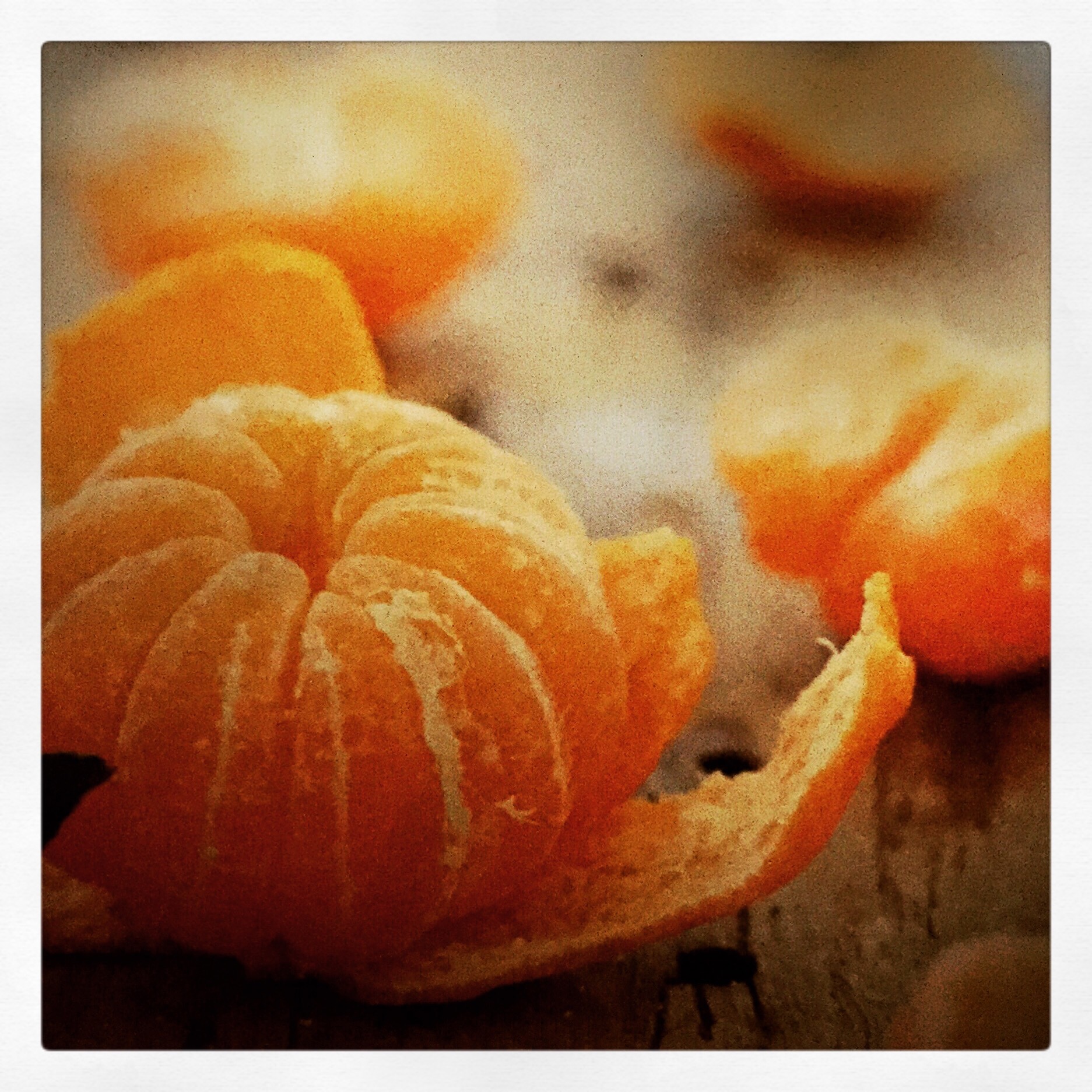 Day 1640. sweet mandarins…