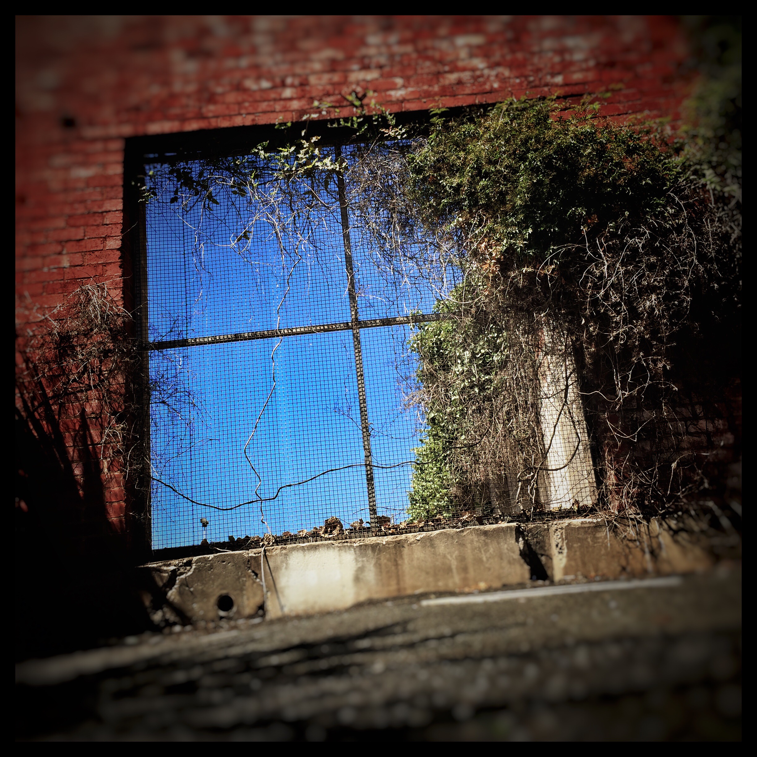 Day 1705. Behind the Square Window