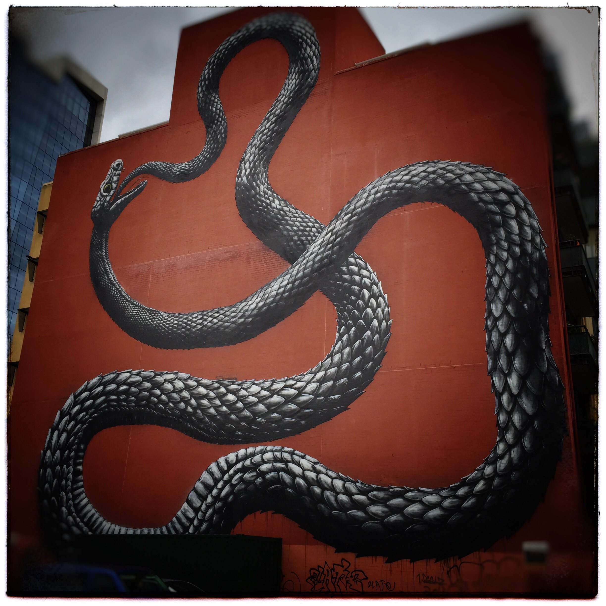 Day 1749. Snake Skin Building