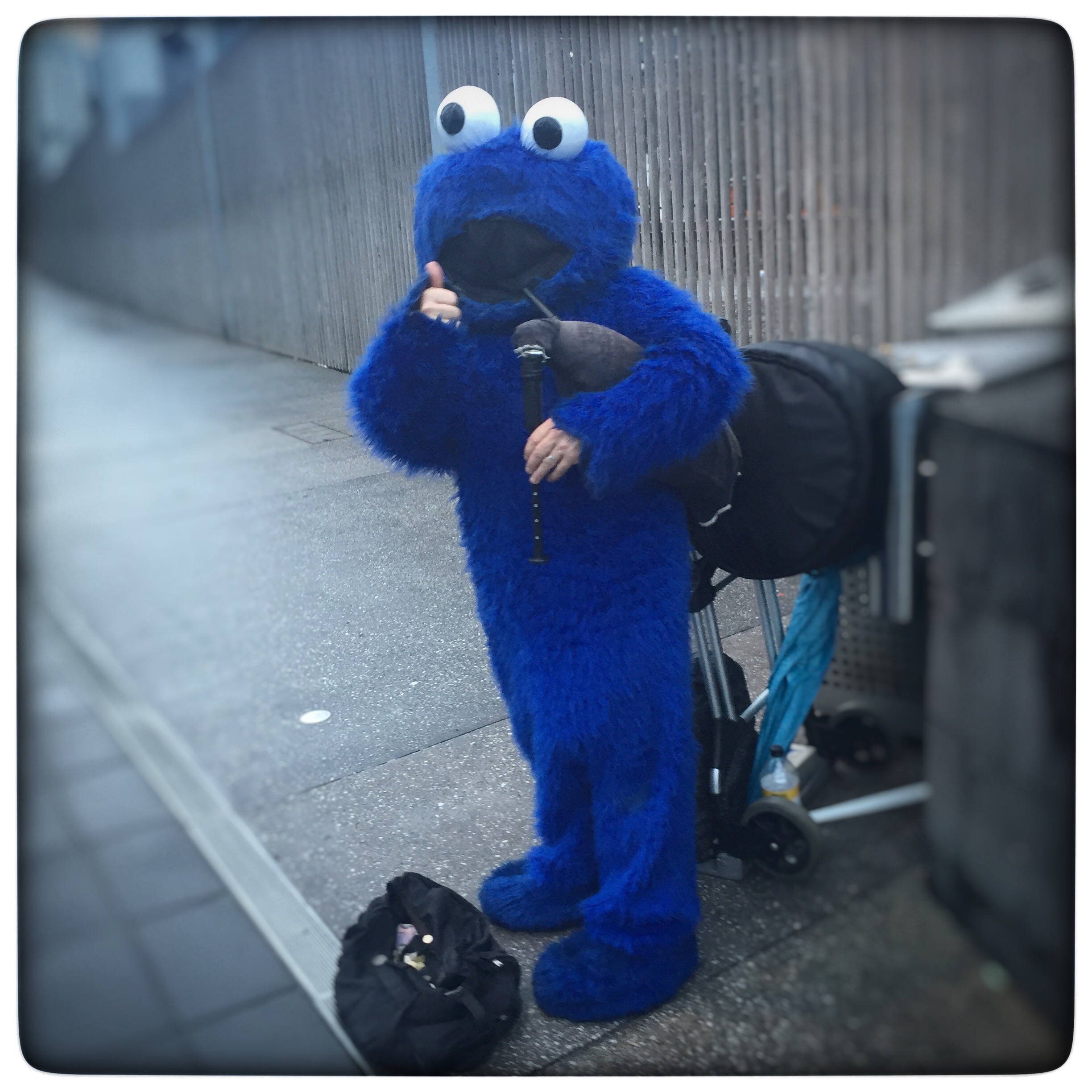 Day 1884. Blue Busker